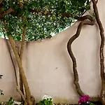 Nocleg ze śniadaniem Yourhome - Maison Nonna Anna 4*
