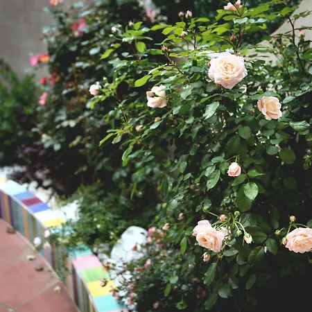 Yourhome - Maison Nonna Anna 4*