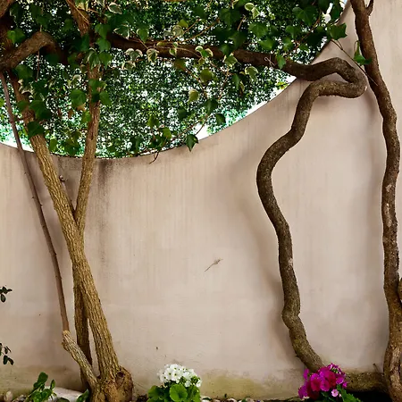 Bed & Breakfast Yourhome - Maison Nonna Anna 4*